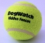 Tennisbold